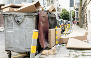 Residential Cleanouts