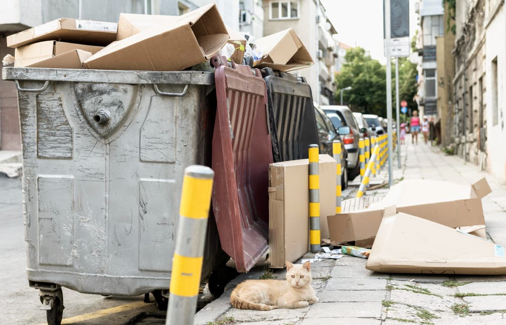 Residential Cleanouts 