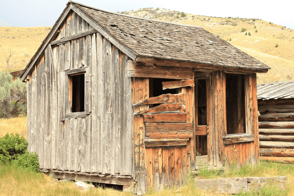 Shed Removal