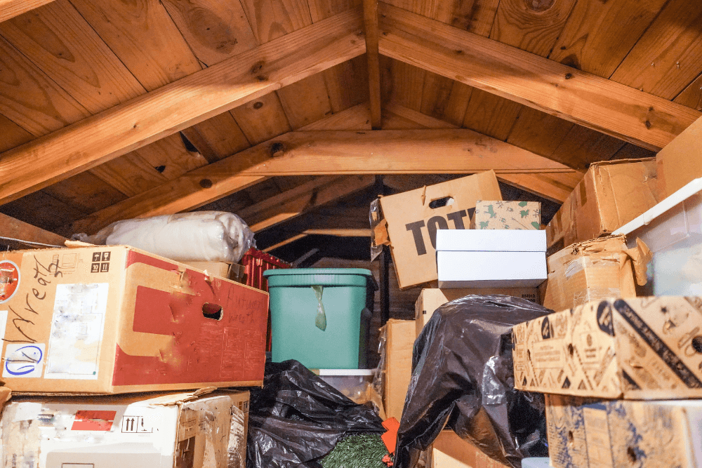 Manage Junk