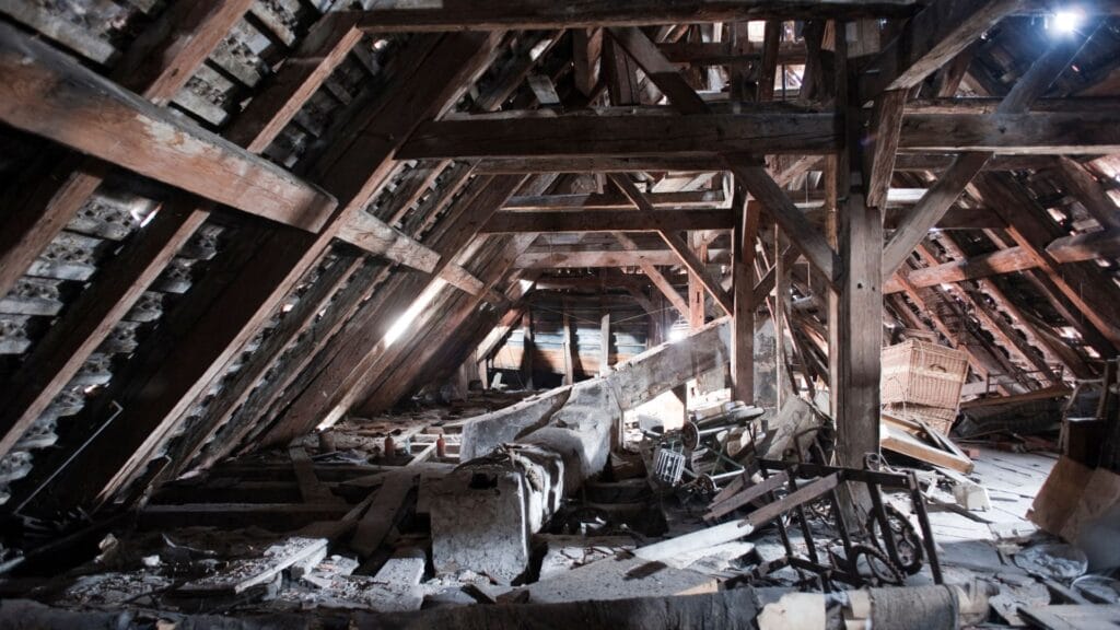 attic cleanout