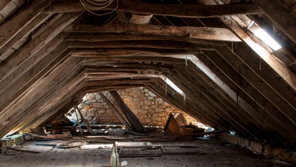 Attic Cleanout
