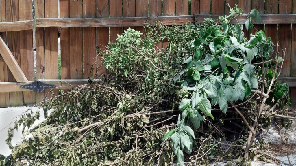 yard waste removal