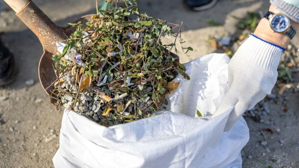 yard waste removal
