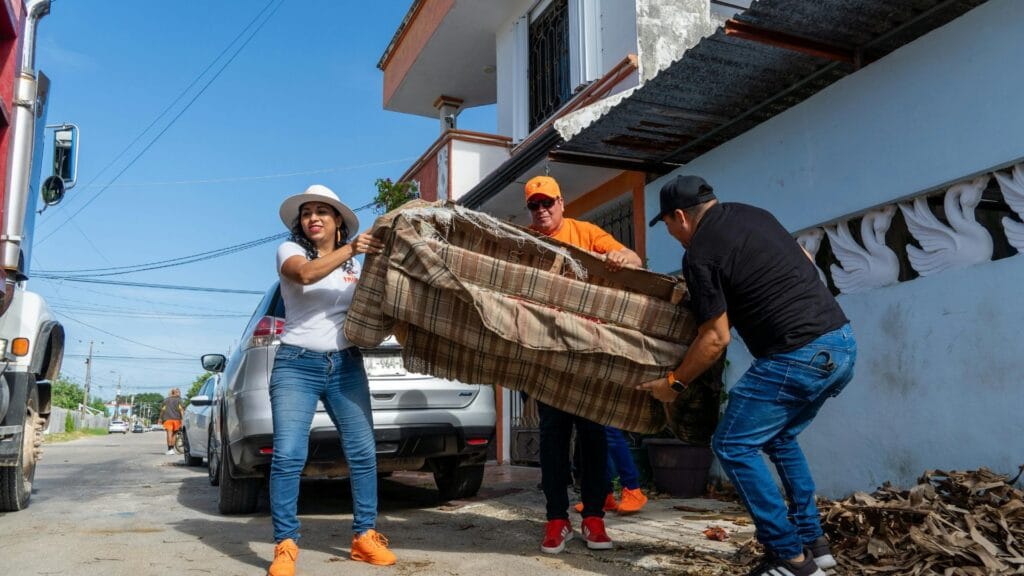 Furniture Removal