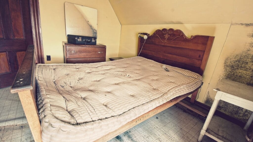Mattress Removal