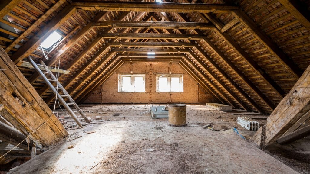 Attic Cleanouts