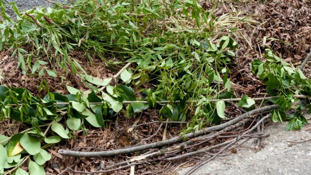 Yard Waste Disposal