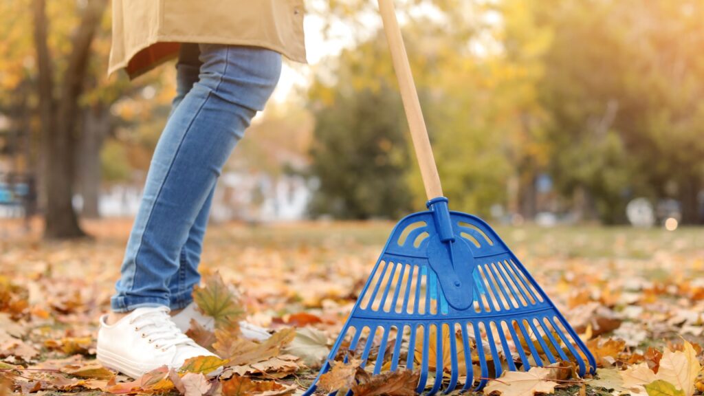 Seasonal Cleanouts