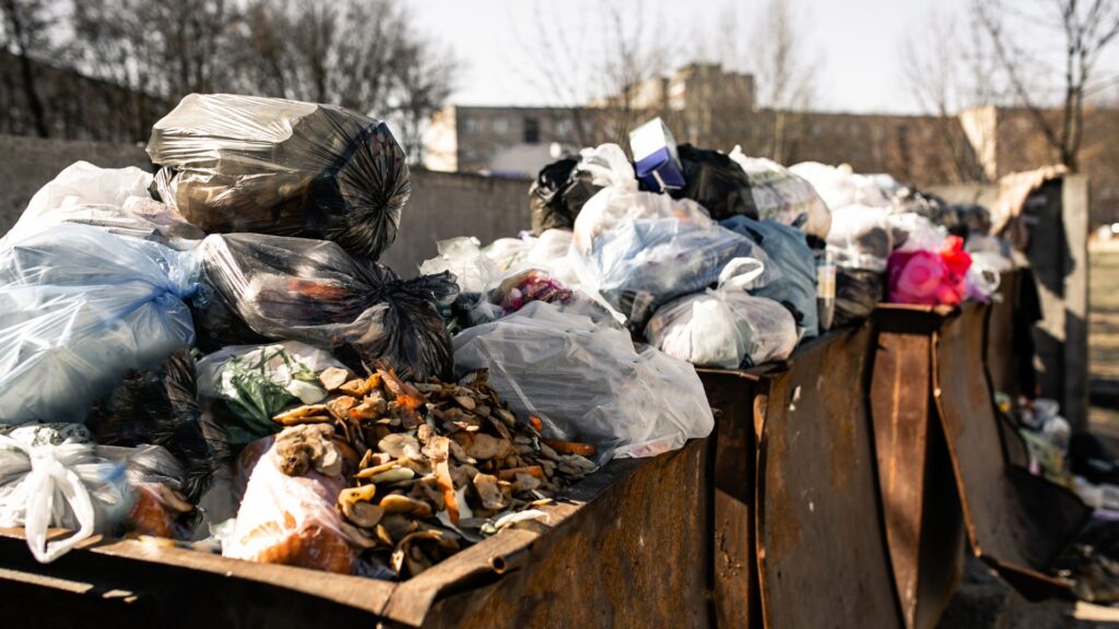 Dumpster Overflow Cleanup