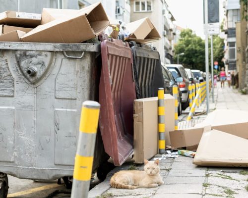 Residential Cleanouts