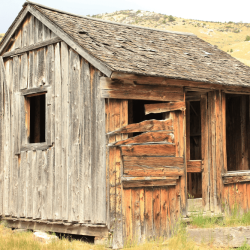 Shed Removal