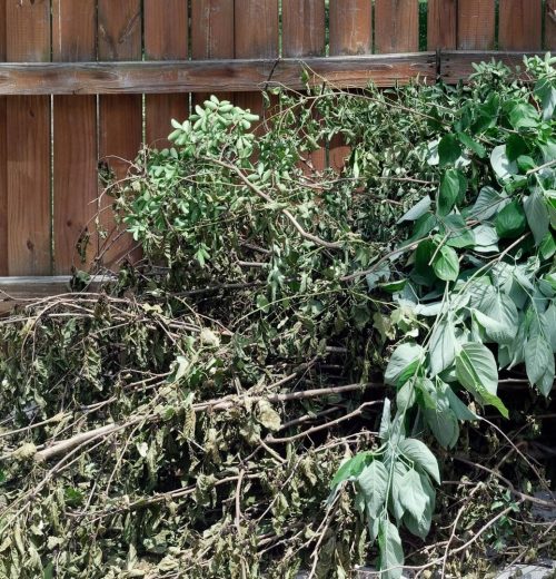yard waste removal
