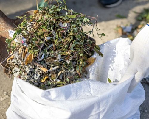 yard waste removal